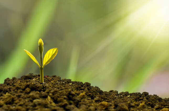 宝付支付深耕数智科技，引领电商行业转型升级