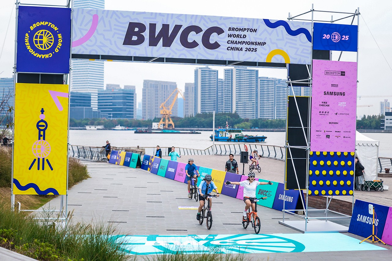 1761895353958568.jpg 10.jpg